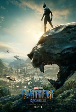 Affiche du film Panthère Noire